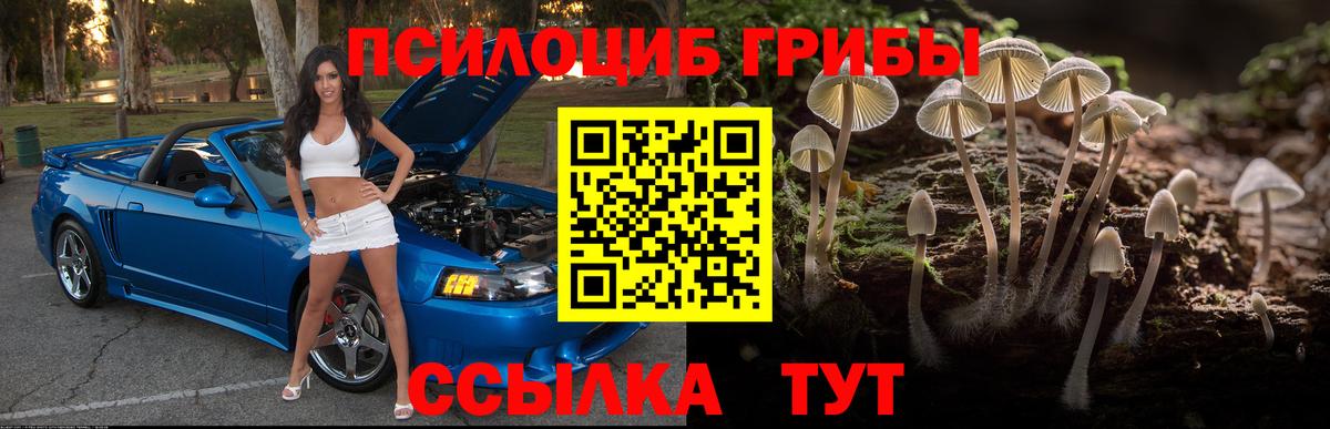 Галлюциногенные грибы прущие грибы  Псилоцибиновые грибы мицелий  Югорск  Вход с VPN 