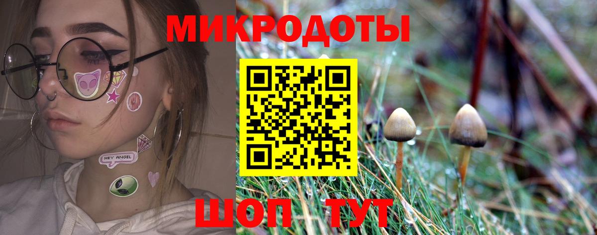 Псилоцибиновые грибы прущие грибы Югорск